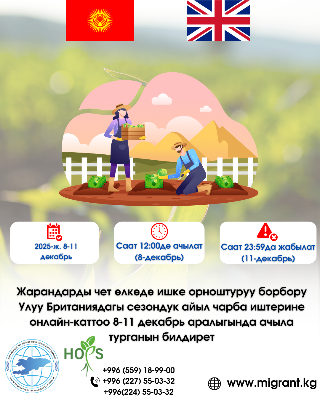 Жарандарды чет өлкөдө ишке орноштуруу борбору HOPS оператору аркылуу Улуу Британияга сезондук айыл чарба жумуштарына онлайн каттоо жакында ачыларын маалымдайт